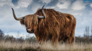 Sanctuary was supposed to be a safe place&hellip;