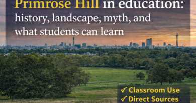 Why Primrose Hill fits an education category